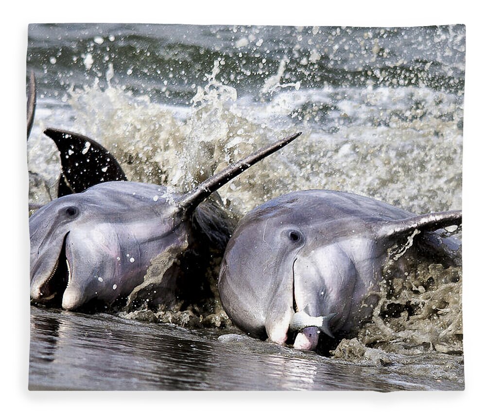 Dolphins Fleece Blanket featuring the photograph Strand Feeding by Jim Miller