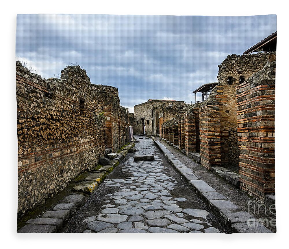 Ancient Fleece Blanket featuring the photograph Streets of Pompeii 2 by Debra Martz
