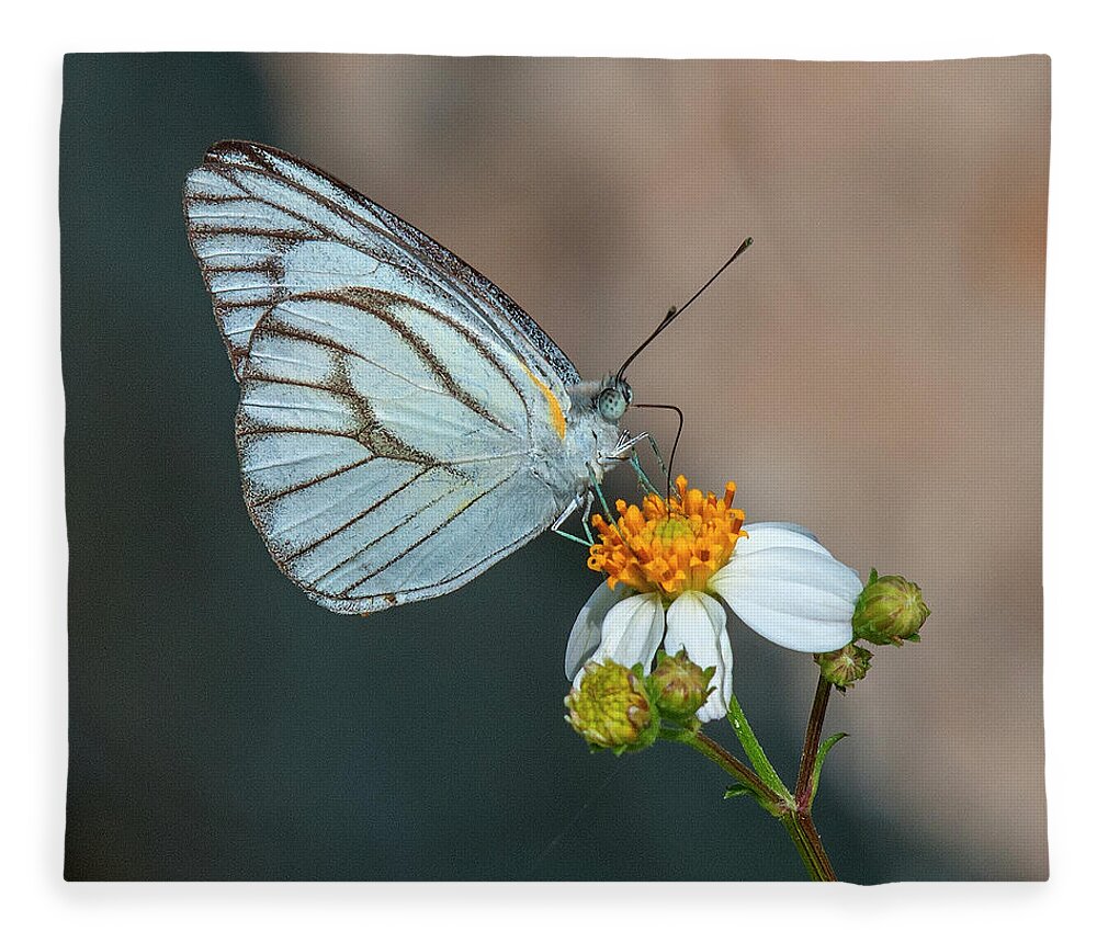 Nature Fleece Blanket featuring the photograph Striped Albatross Butterfly DTHN0209 by Gerry Gantt