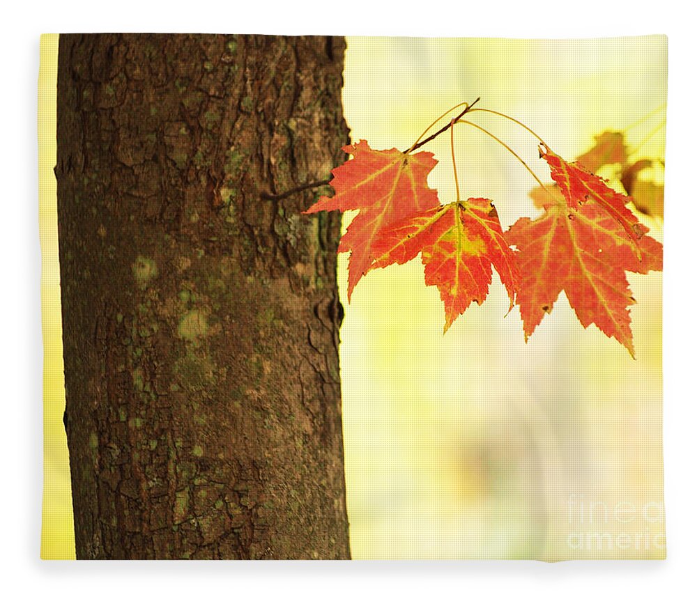 Dorothy Lee Photography Fleece Blanket featuring the photograph Subtle Autumn Color by Dorothy Lee