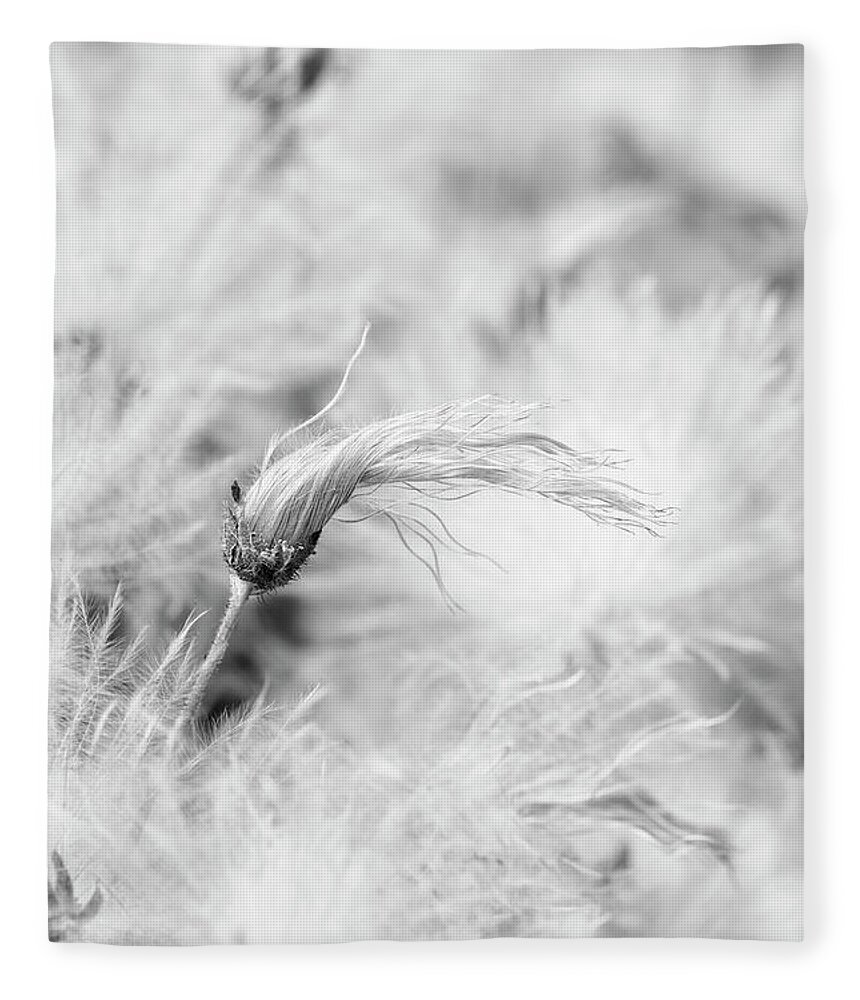 Suendermann Dryad Fleece Blanket featuring the photograph Suendermann dryad Seedhead Monochrome by Tim Gainey