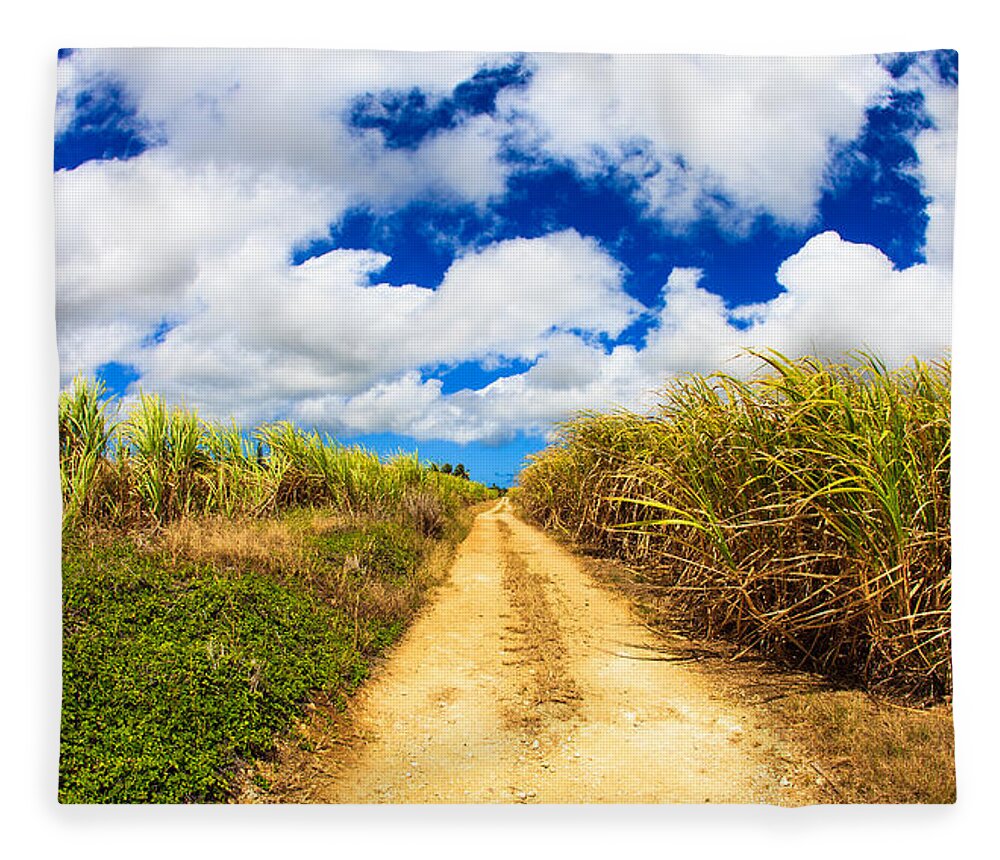 Barbados Fleece Blanket featuring the photograph Sugarcane Fields by Raul Rodriguez