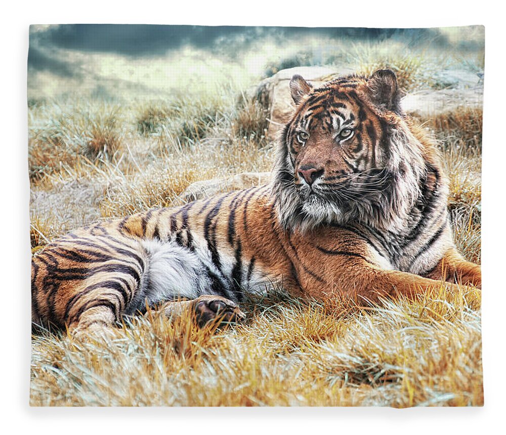 Animals Fleece Blanket featuring the photograph Sumatran Tiger by Joachim G Pinkawa