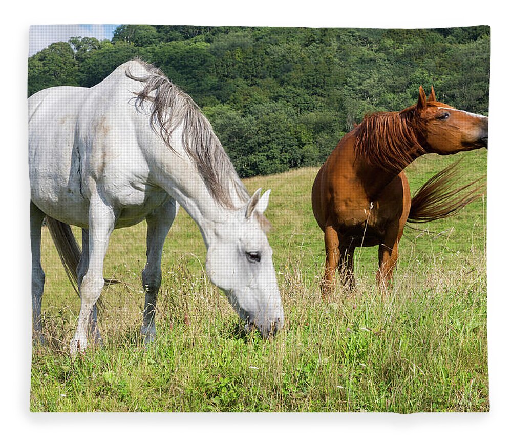 Horses Fleece Blanket featuring the photograph Summer Evening For Horses by D K Wall