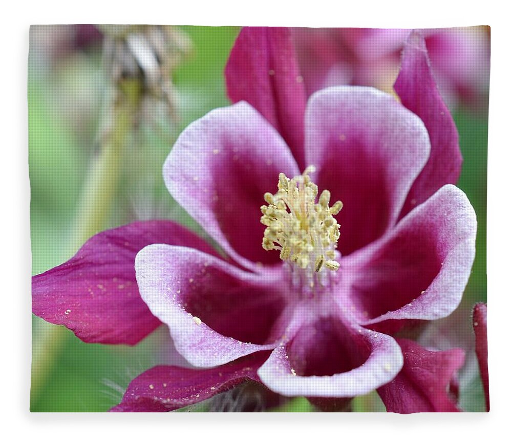 Flowers Fleece Blanket featuring the photograph Summer Flower-2 by Charles HALL