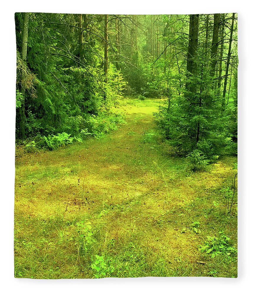 Forest Fleece Blanket featuring the photograph Summer Forest by Liudmila Gerasimova