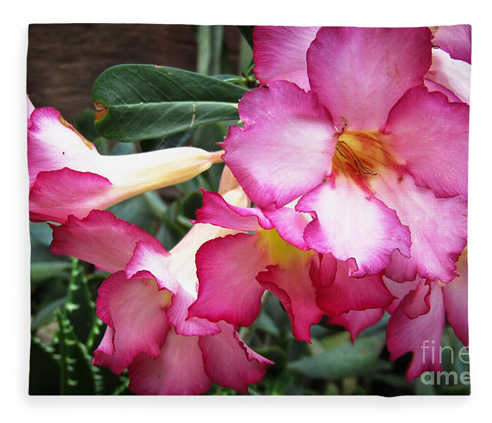 Flowers Fleece Blanket featuring the photograph Summer Forever by Robert Knight