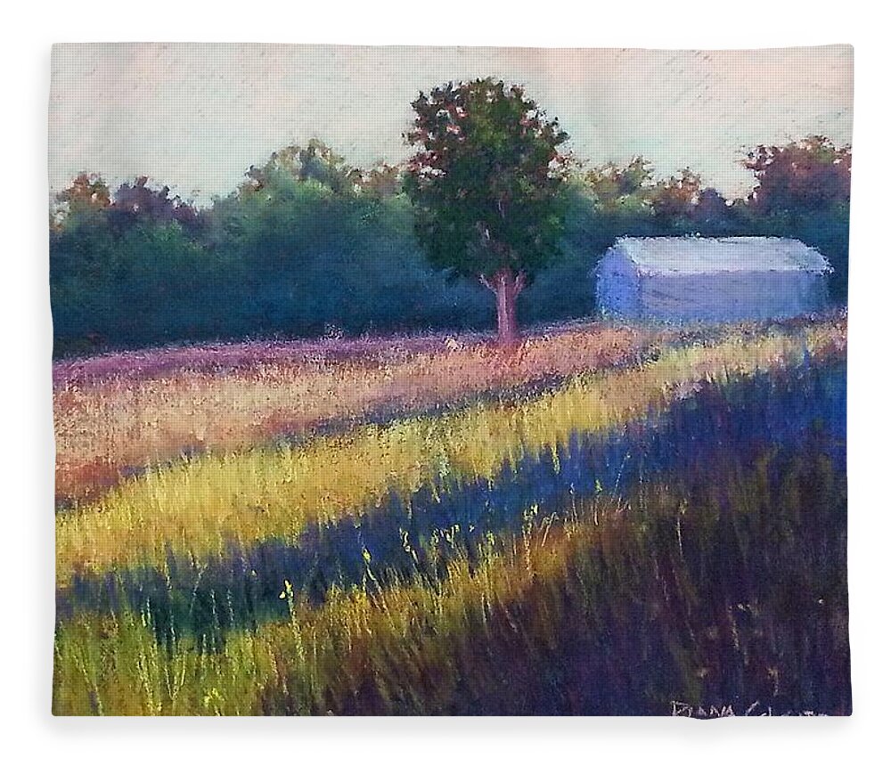 Landscape Fleece Blanket featuring the pastel Summer Light by Diana Colgate