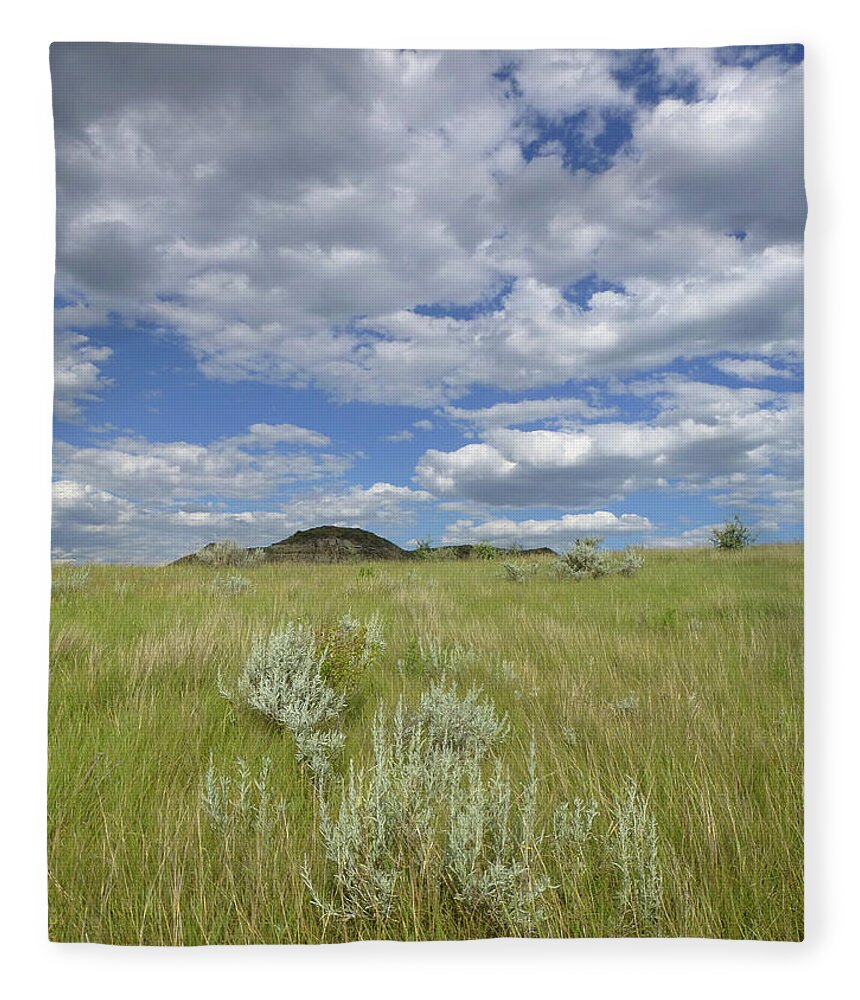 North Dakota Fleece Blanket featuring the photograph Summertime on the Prairie by Cris Fulton