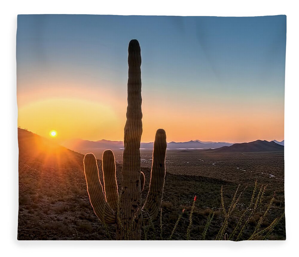 Arizona Fleece Blanket featuring the photograph Sun Lit Cactus by Maria Coulson