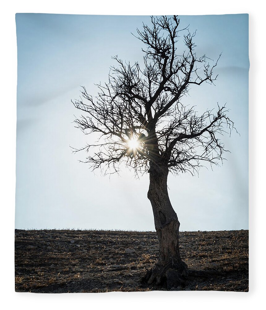 Inspiration Fleece Blanket featuring the photograph Sun rays and bare lonely tree by Michalakis Ppalis