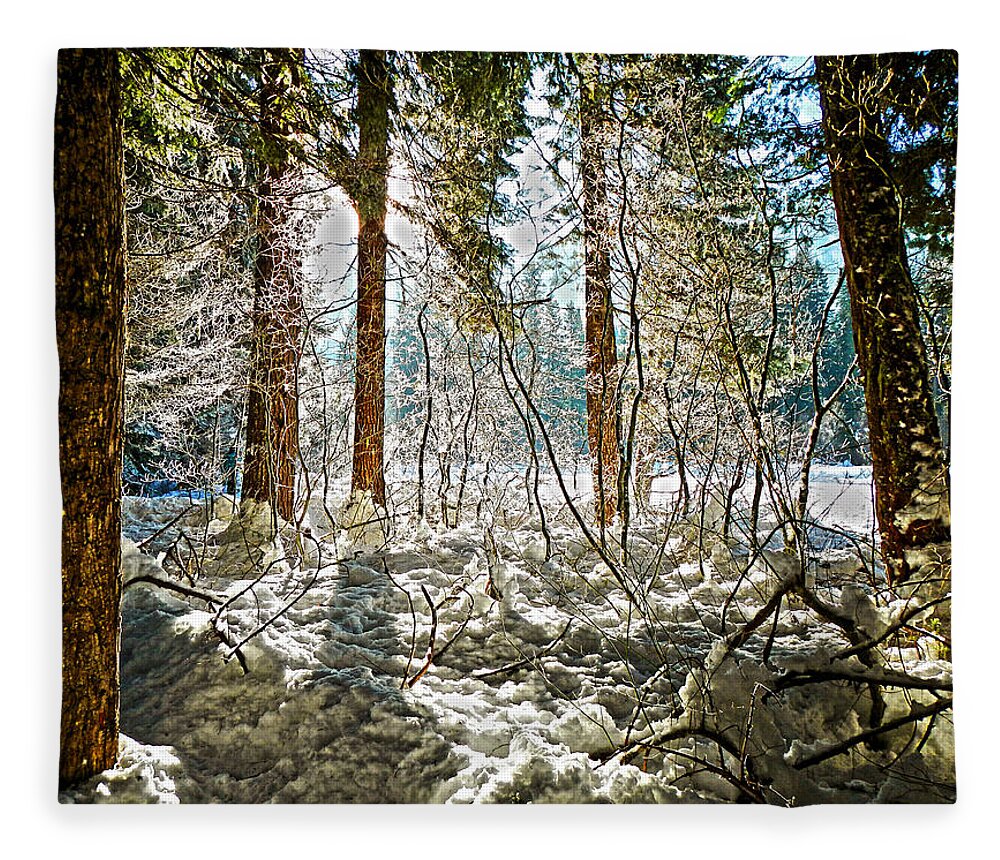 Tree Fleece Blanket featuring the photograph Sun Shinning Through Trees by Pelo Blanco Photo