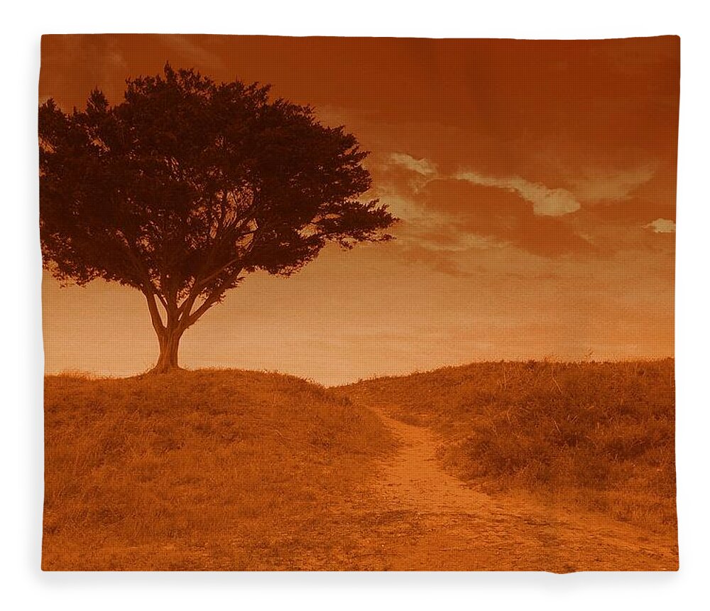 Landscape Fleece Blanket featuring the photograph Sundown Alone by Julie Lueders 