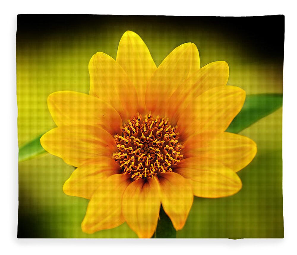 Sunflower Print Fleece Blanket featuring the photograph Sunflower Baby Print by Gwen Gibson