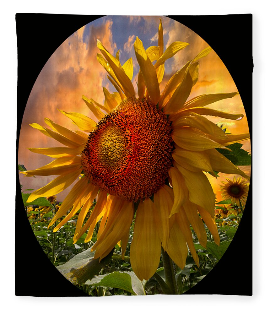 Sunflower Fleece Blanket featuring the photograph Sunflower Dawn in Oval by Debra and Dave Vanderlaan
