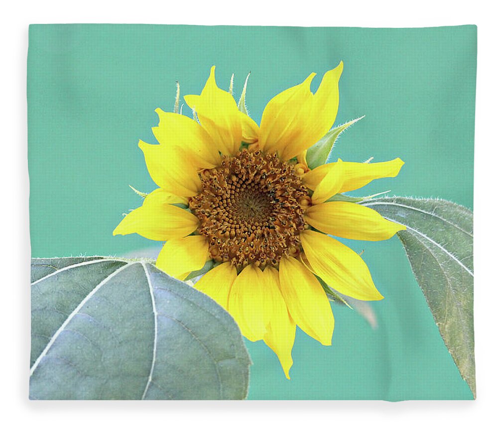 Sunflowers Fleece Blanket featuring the photograph Sunflower In The Summer Time by Trina Ansel
