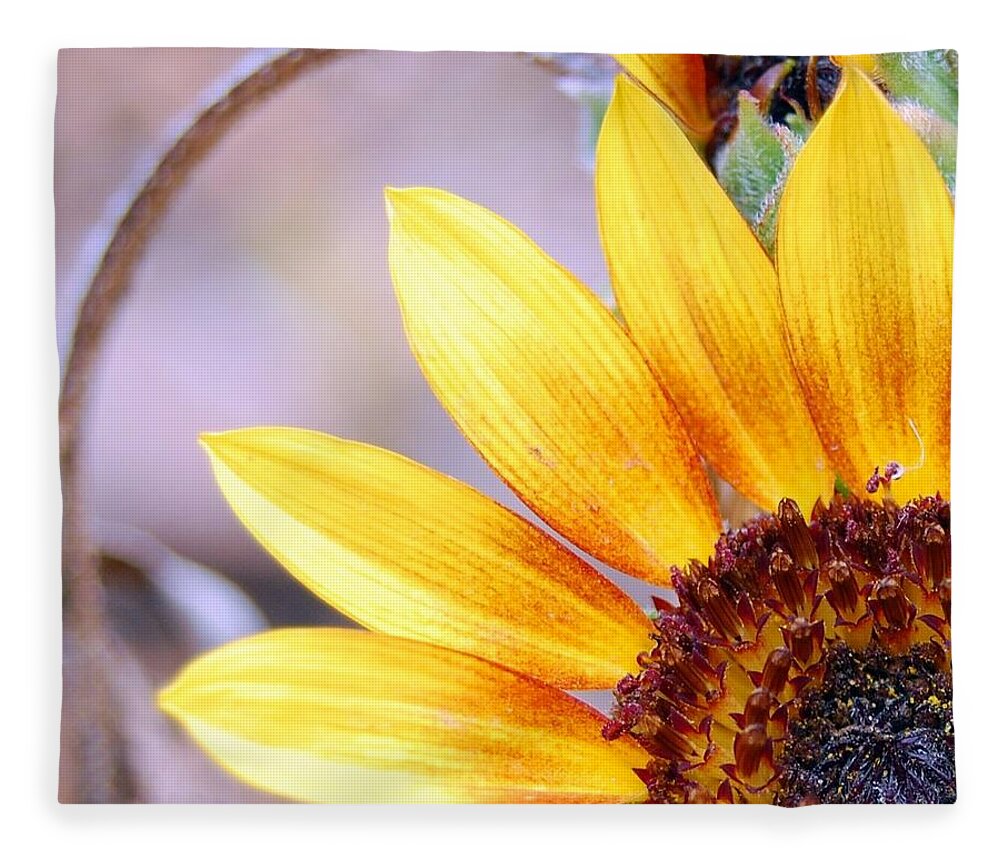 Sunflower Fleece Blanket featuring the photograph Sunflower Perspective by Amy Fose
