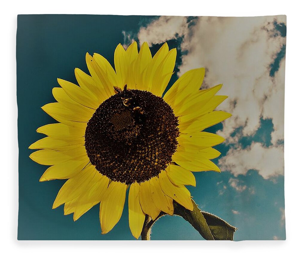 Sun Fleece Blanket featuring the photograph Sunflower by Randy Sylvia