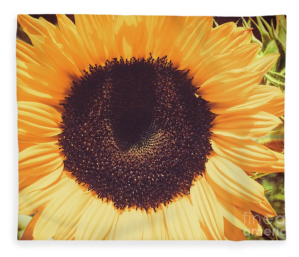 Flower Fleece Blanket featuring the photograph Sunflower by Scott and Dixie Wiley