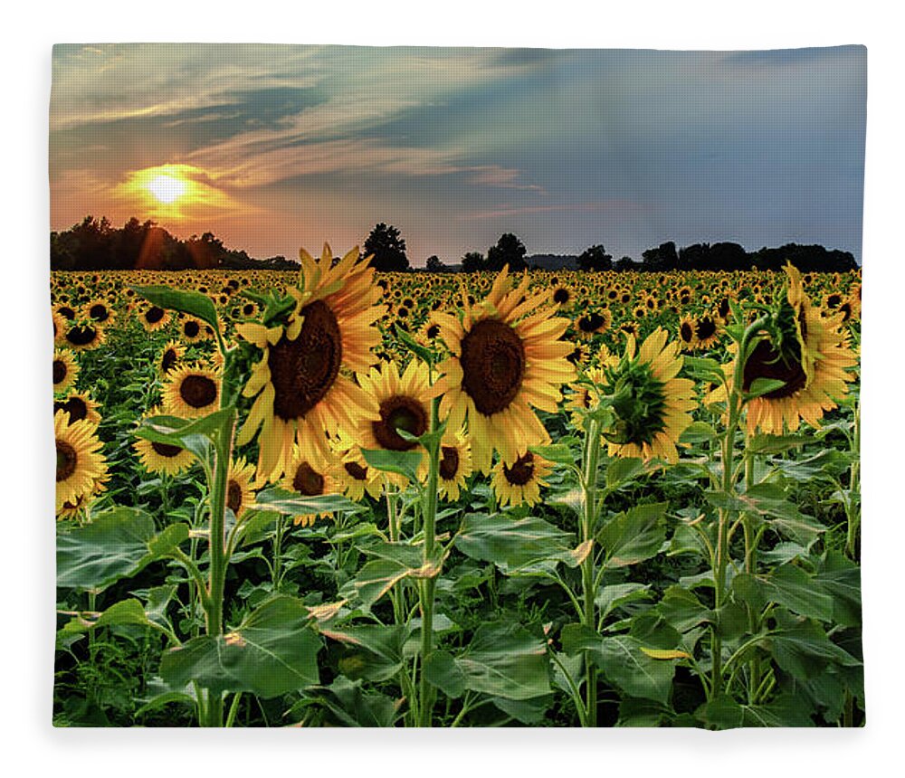 Sunset Fleece Blanket featuring the photograph Sunflower Sunset by Rod Best
