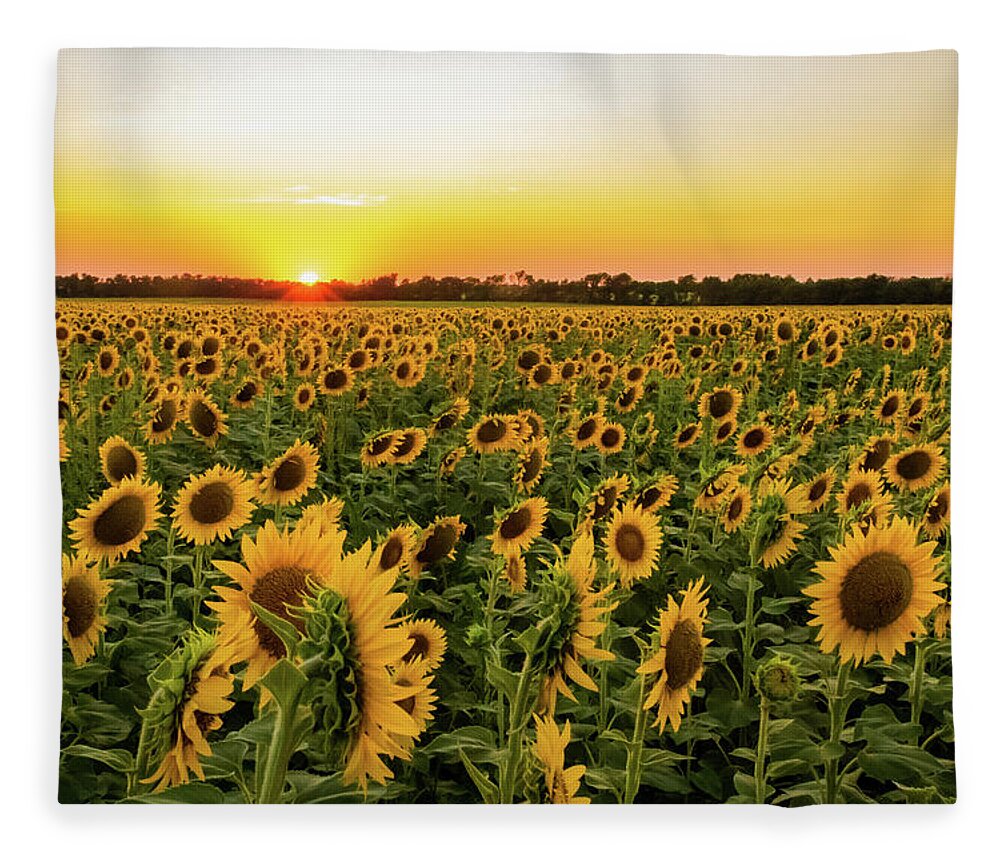 Jay Stockhaus Fleece Blanket featuring the photograph Sunflowers at Sunset by Jay Stockhaus