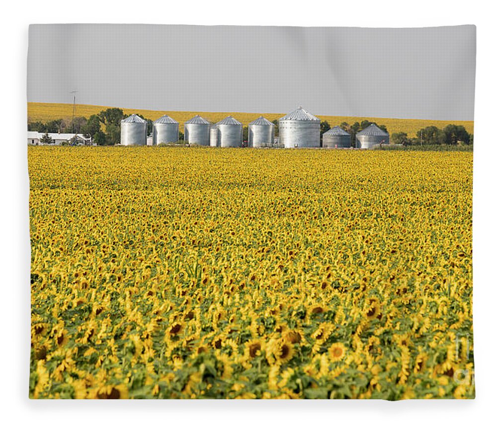 Sunflowers Fleece Blanket featuring the photograph Sunflowers by Jim West