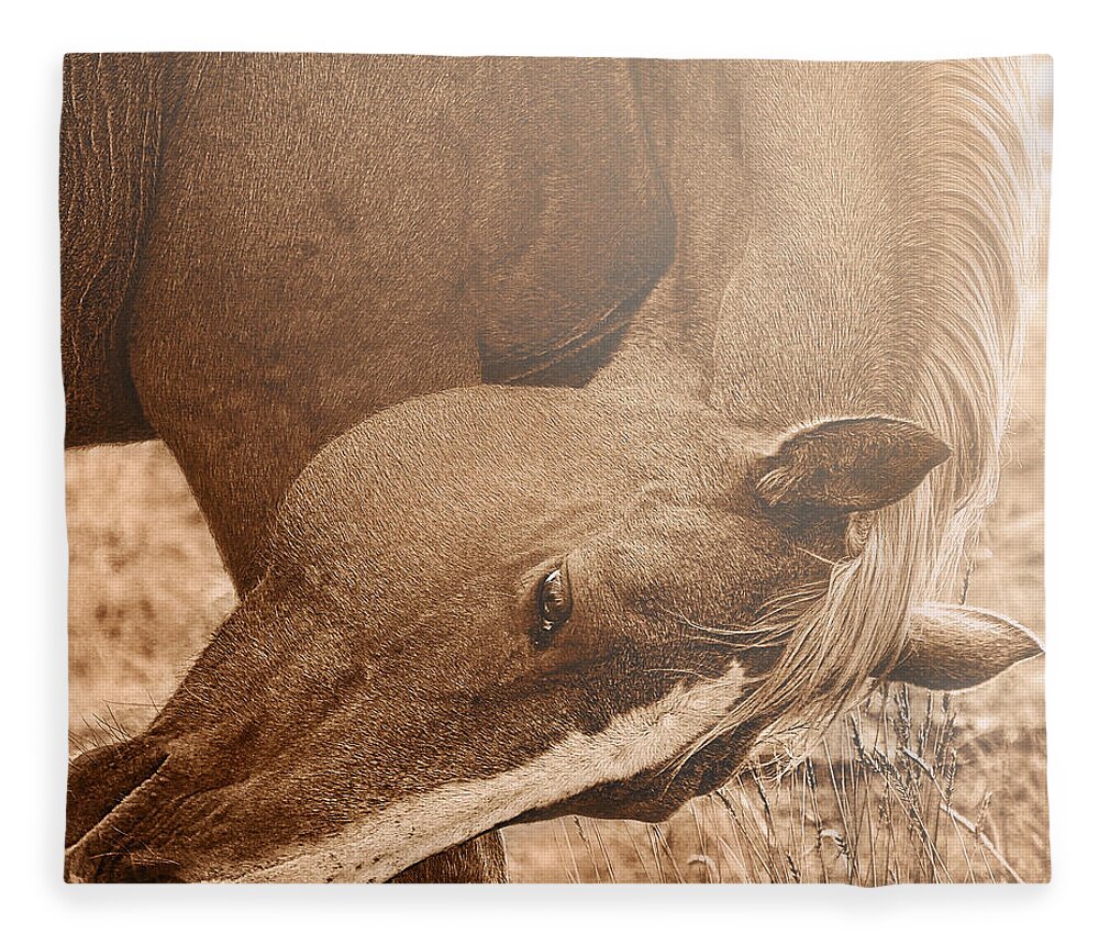 Graceful Fleece Blanket featuring the photograph Sunlight and Grace by Amanda Smith