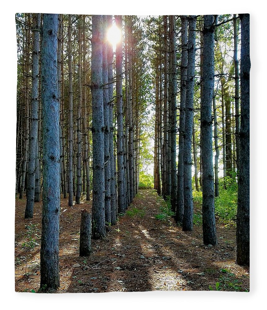Sunlight Fleece Blanket featuring the photograph Sunlight Through the Forest Trees by Vic Ritchey