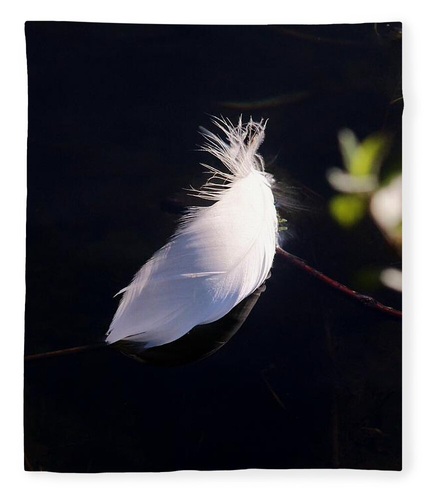 Karen Silvestri Fleece Blanket featuring the photograph Sunlit Feather by Karen Silvestri