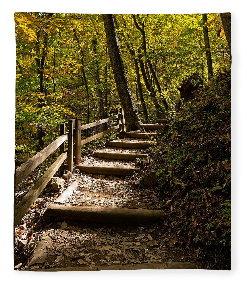 Crabtree Falls Fleece Blanket featuring the photograph Sunlit Trail by Lori Coleman