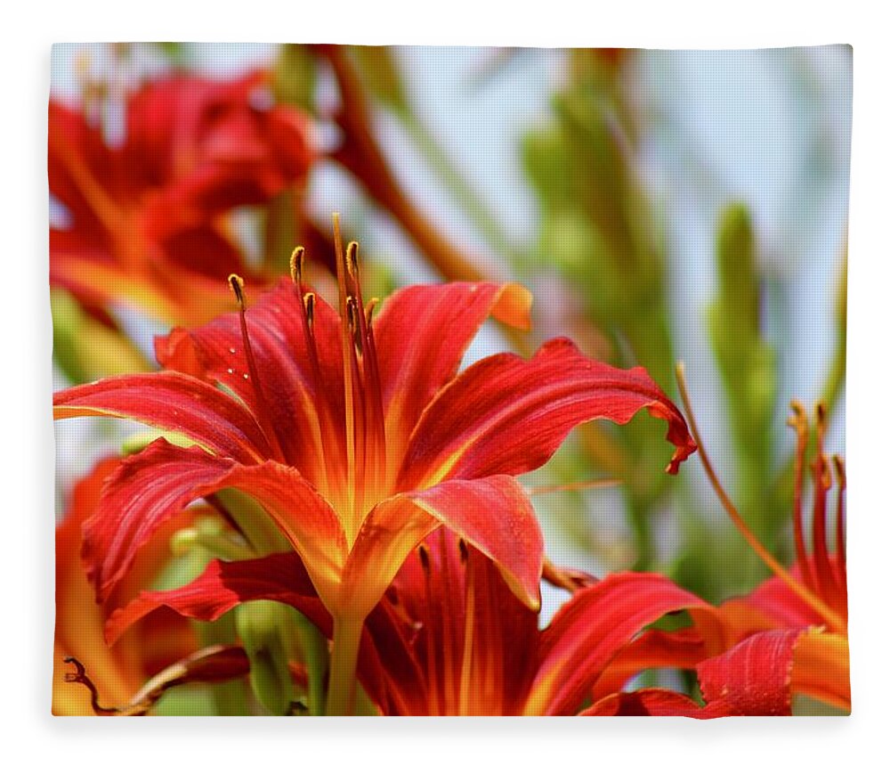 Photograph Fleece Blanket featuring the photograph Sunning Red Day Lilies by M E