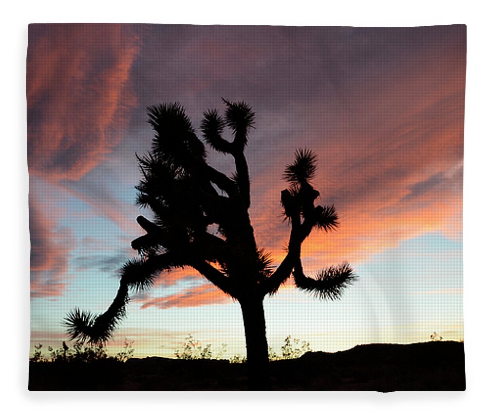 Joshua Tree National Park Fleece Blanket featuring the photograph Sunset at Joshua Tree by Bob Christopher