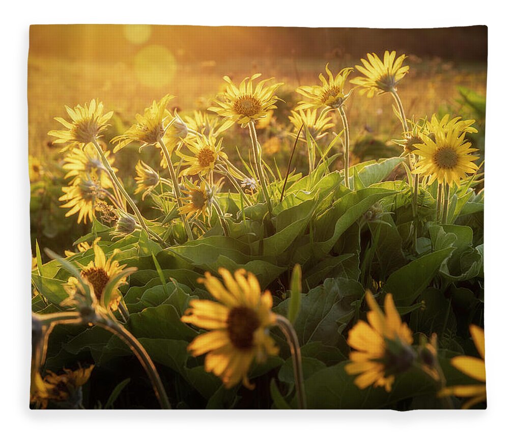 Sony Fleece Blanket featuring the photograph Sunset Balsam by Jon Ares