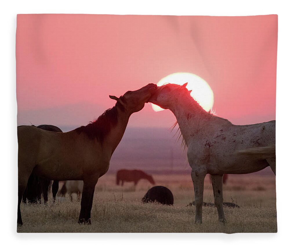 Wild Horses Fleece Blanket featuring the photograph Sunset Horses by Wesley Aston