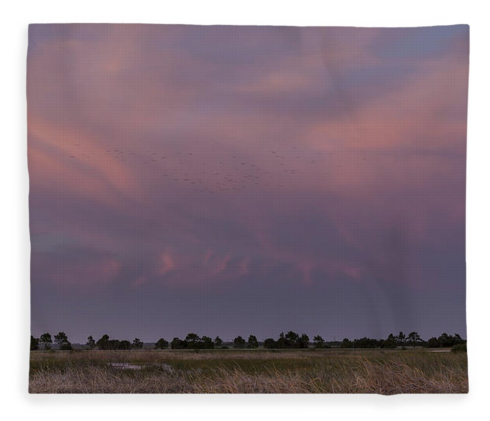 Sunset Fleece Blanket featuring the photograph Sunset over the wetlands by David Watkins