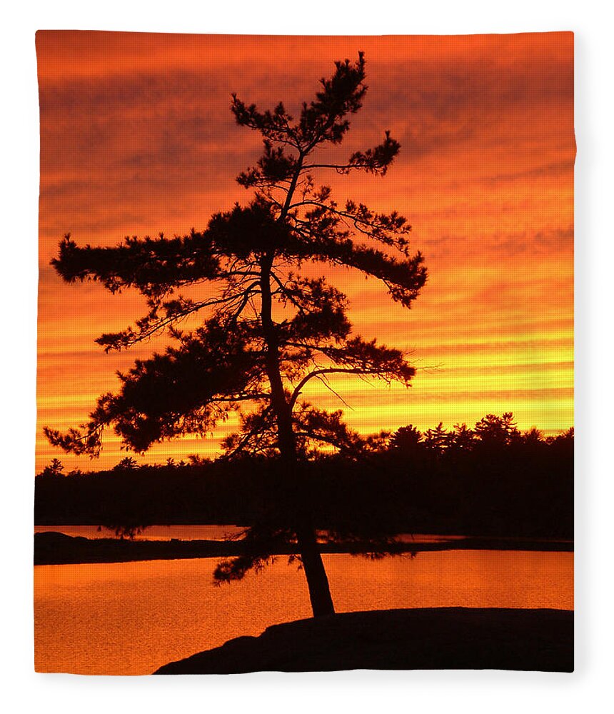 Pine Tree Fleece Blanket featuring the photograph Sunset Solitude by Linda McRae
