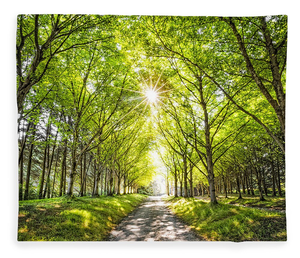 Appalachia Fleece Blanket featuring the photograph Sunshine and Shadows by Debra and Dave Vanderlaan
