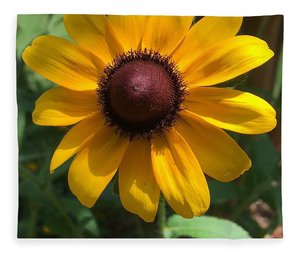 Sunflower Fleece Blanket featuring the photograph Sunshine by Pamela Henry