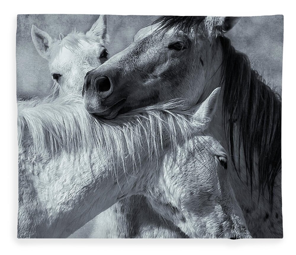 Wild Horses Fleece Blanket featuring the photograph Surrounded by Love BW by Belinda Greb