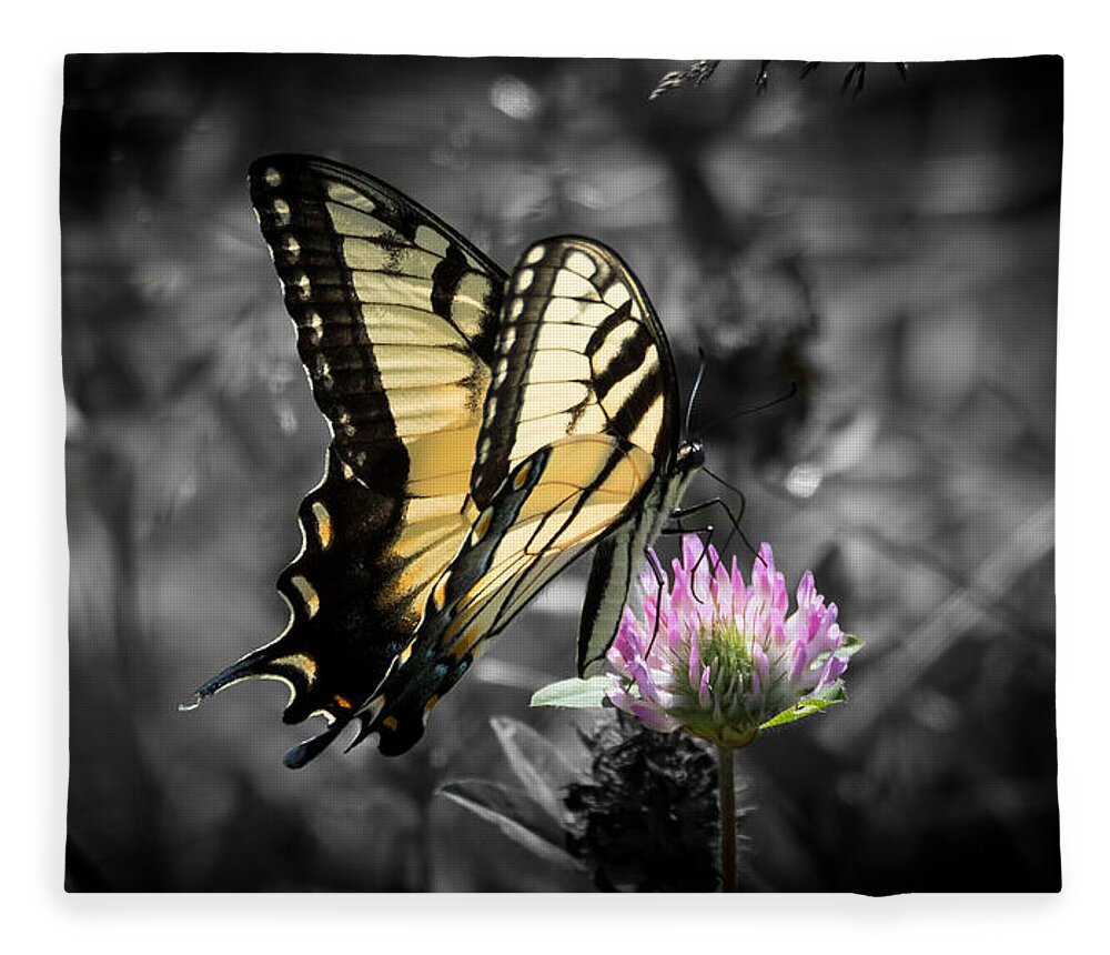 Butterfly Fleece Blanket featuring the photograph Swallowtail Butterfly- Color Pop by Holden The Moment