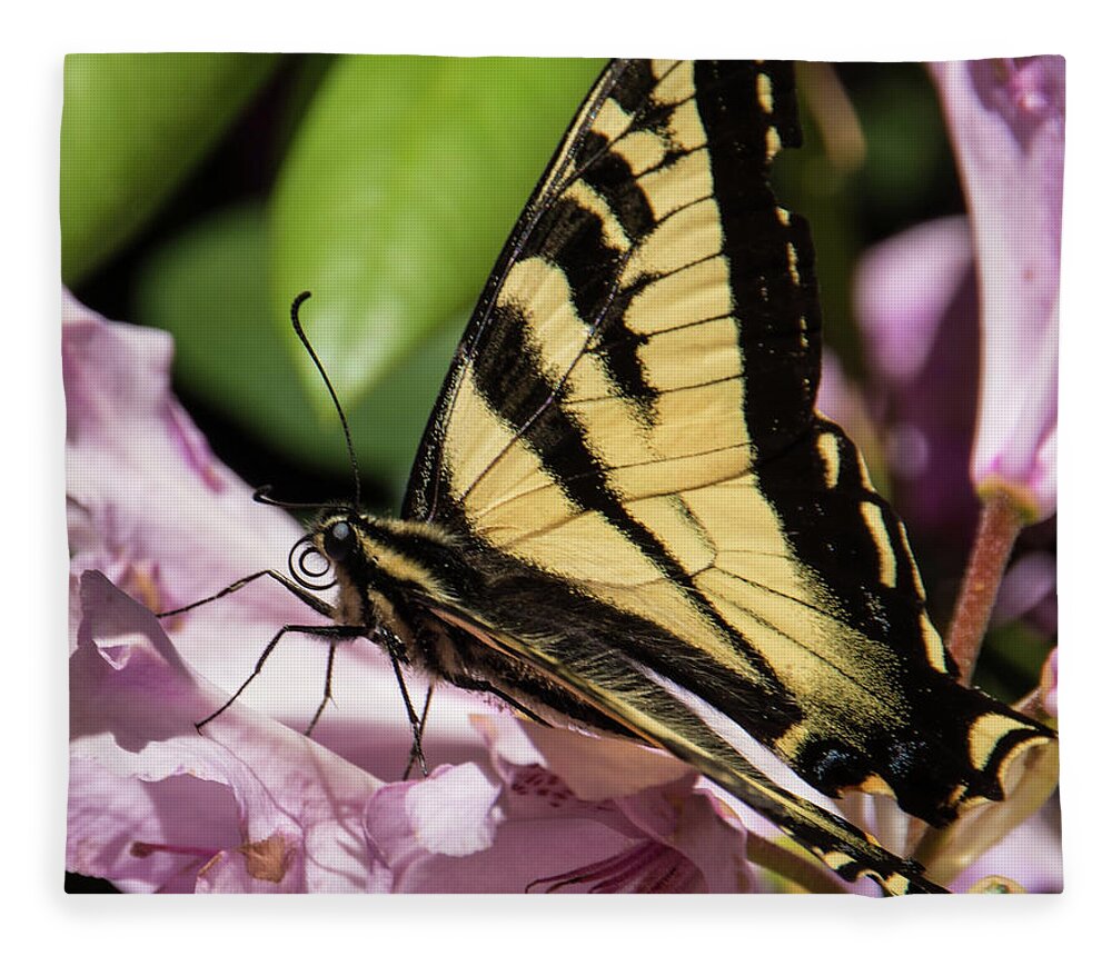 Butterfly Fleece Blanket featuring the photograph Swallowtail Butterfly by Marilyn Wilson