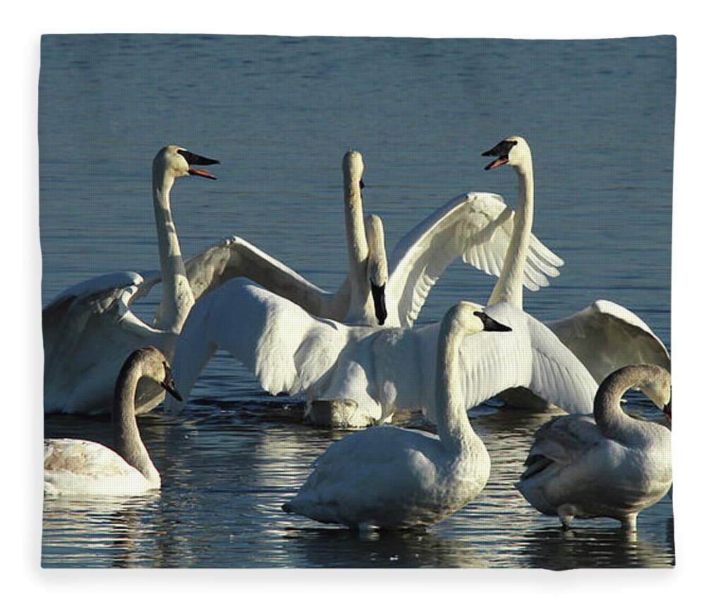 Trumpeter Swan Fleece Blanket featuring the Swan Dance by Holly Ross