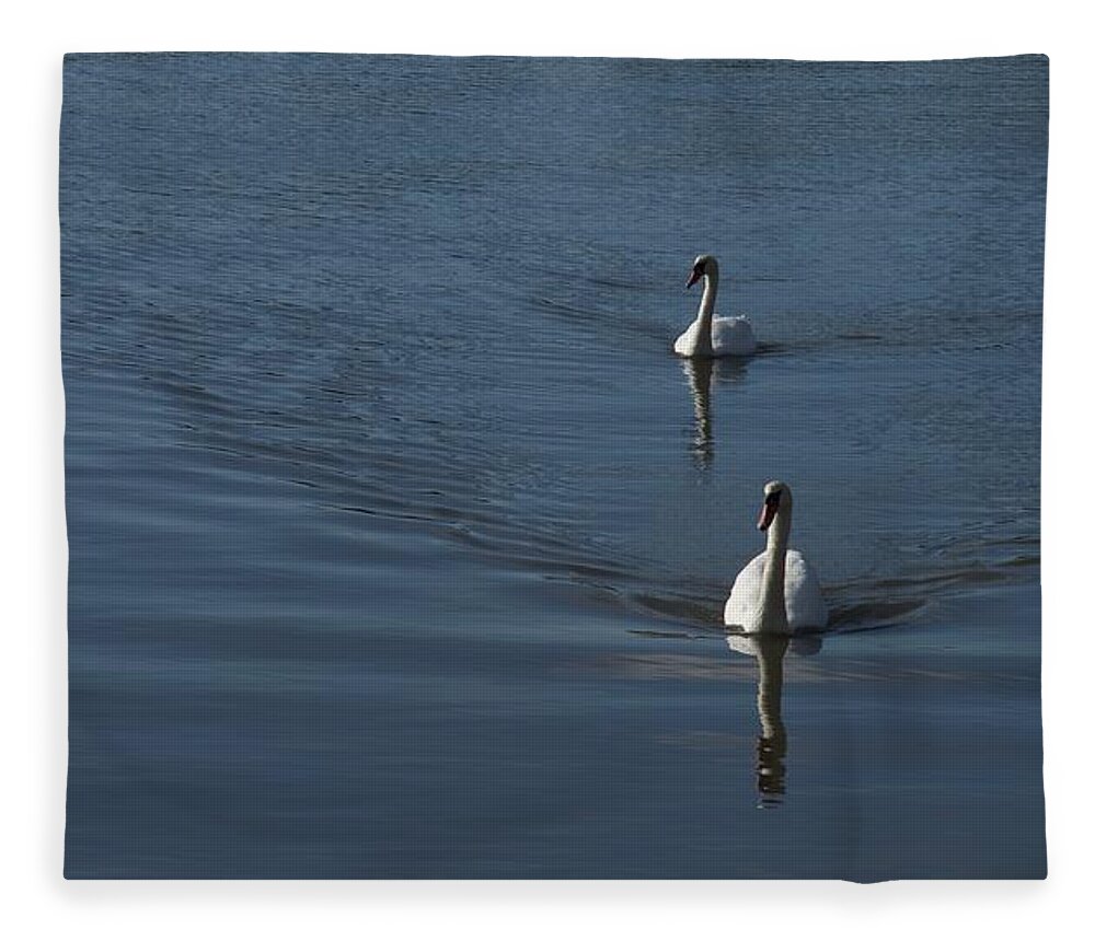 Swans Fleece Blanket featuring the photograph Swans On Deep Blue by Charles Kraus