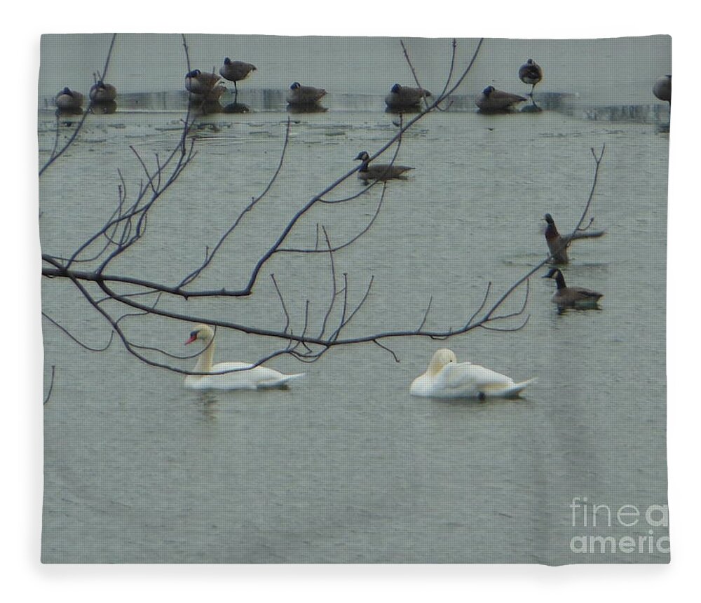 Swans Fleece Blanket featuring the photograph Swans with Geese by Rockin Docks Deluxephotos
