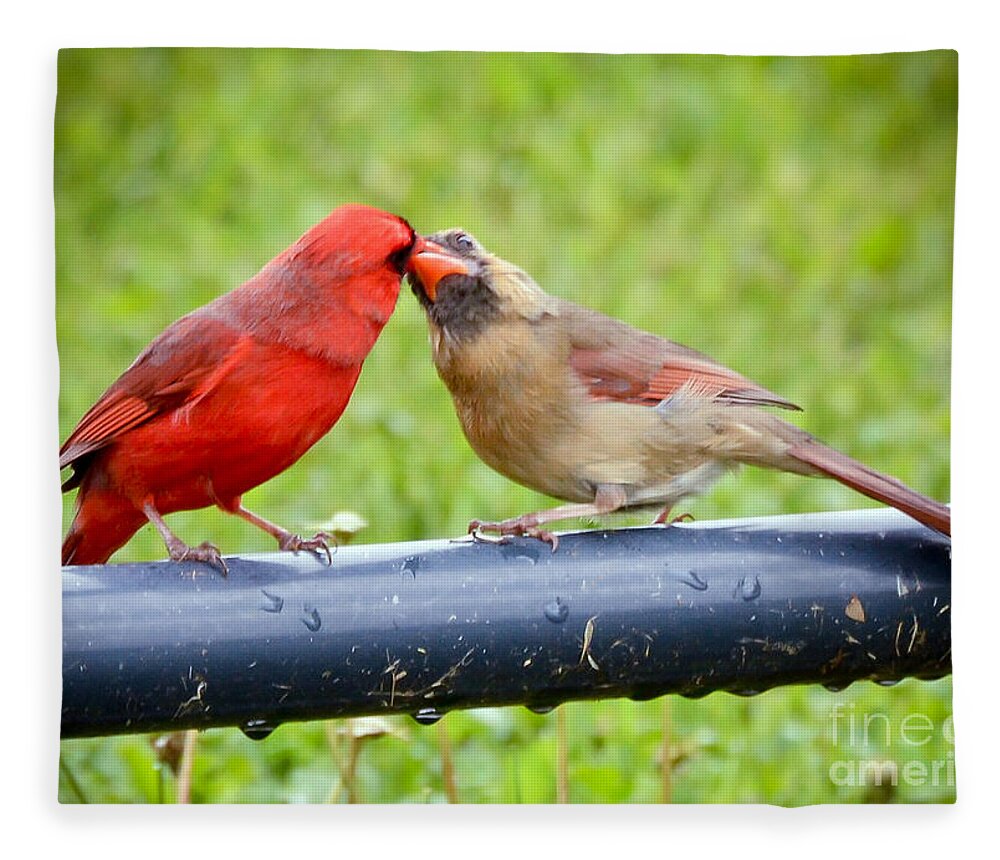 Male And Female Cardinal Fleece Blanket featuring the photograph Sweet Cardinal Couple by Kerri Farley