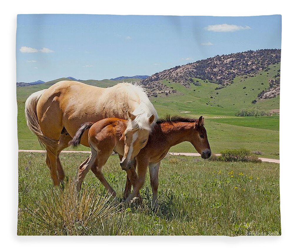 Wyoming Fleece Blanket featuring the photograph Sweet Comfort by Amanda Smith