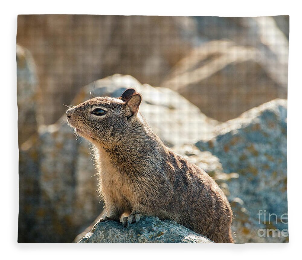 Curious Fleece Blanket featuring the photograph Sweet Curious California Ground Squirrel, Animal In California by Amanda Mohler