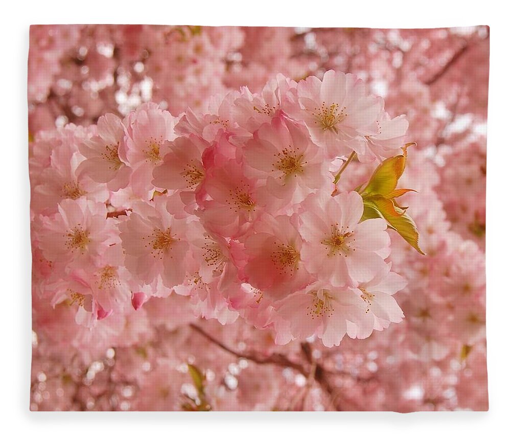 Cherry Blossom Trees Fleece Blanket featuring the photograph Sweet Pink- Holmdel Park by Angie Tirado