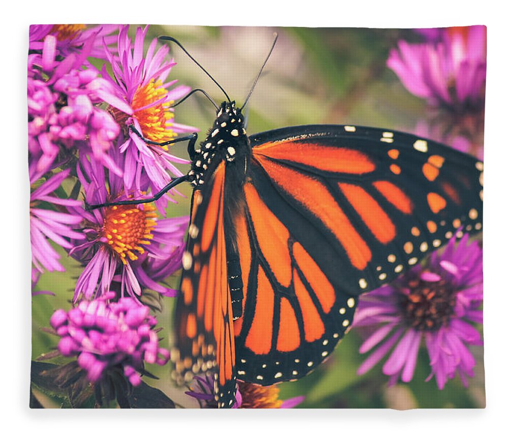 Monarch Butterfly Fleece Blanket featuring the photograph Sweet Surrender by Viviana Nadowski