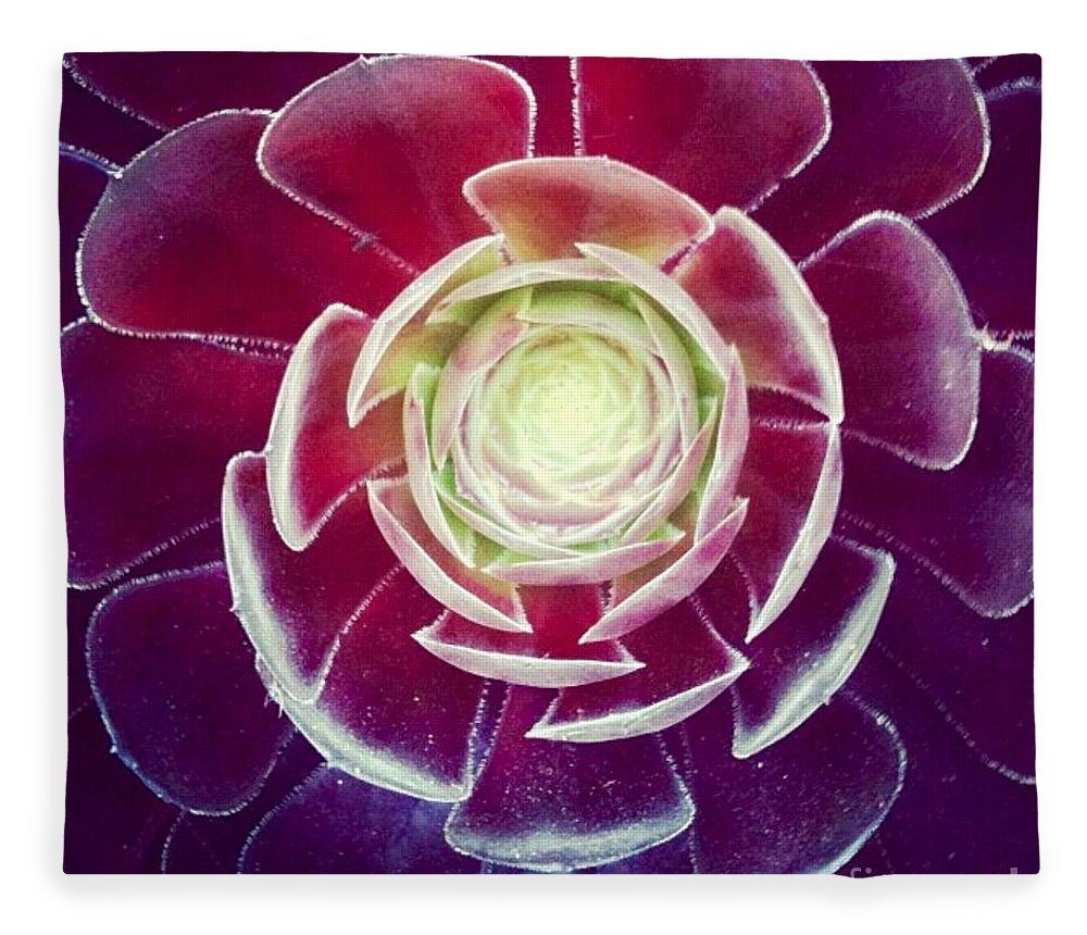 Plant Fleece Blanket featuring the photograph Symmetry by Denise Railey